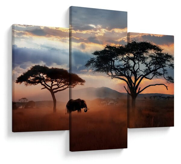 Slika - Nacionalni park Serengeti, Tanzanija, Afrika (90x60 cm)