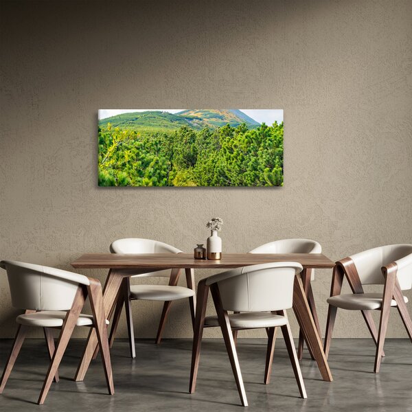 Slika - Babi Hora, Poljska (120x50 cm)