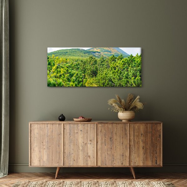 Slika - Babi Hora, Poljska (120x50 cm)