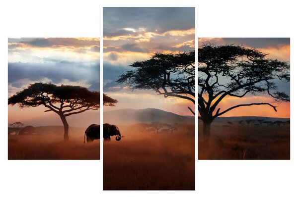 Slika - Nacionalni park Serengeti, Tanzanija, Afrika (90x60 cm)