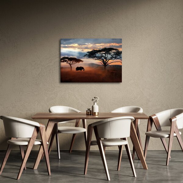 Slika - Nacionalni park Serengeti, Tanzanija, Afrika (70x50 cm)
