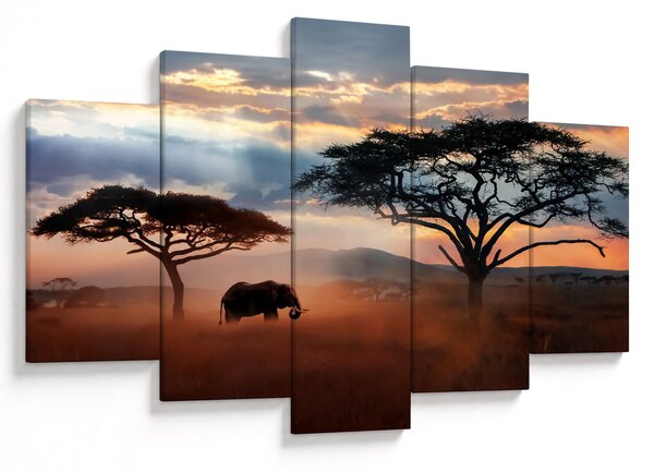 Slika - Nacionalni park Serengeti, Tanzanija, Afrika (150x105 cm)