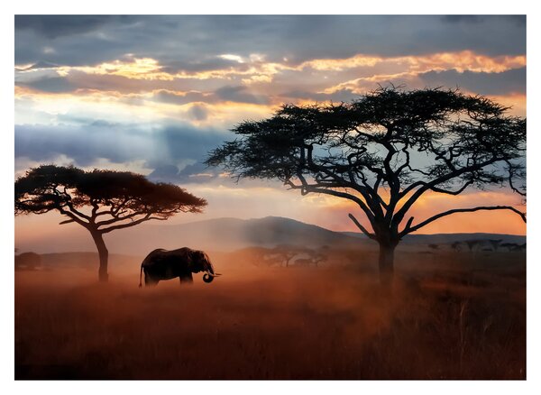 Slika - Nacionalni park Serengeti, Tanzanija, Afrika (70x50 cm)