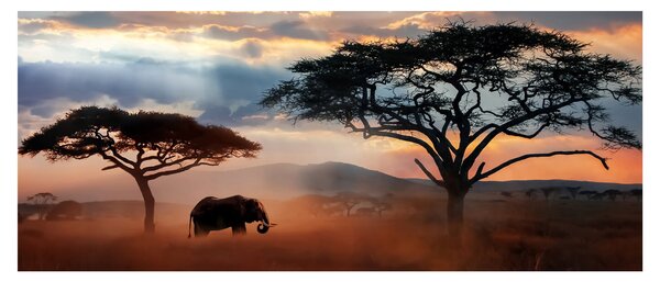 Slika - Nacionalni park Serengeti, Tanzanija, Afrika (120x50 cm)