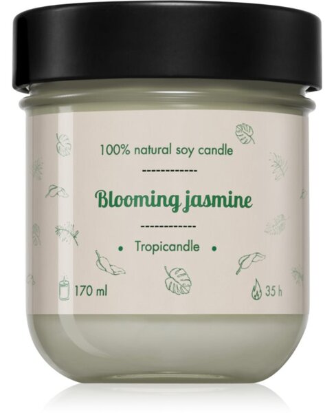 Tropicandle Blooming Jasmine mirisna svijeća 170 ml