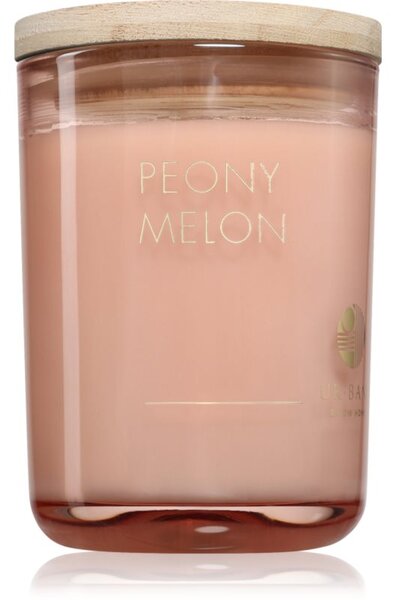 DW Home Ur•Bane Peony Melon mirisna svijeća 215 g