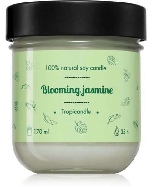 Tropicandle Green Tea mirisna svijeća 170 ml