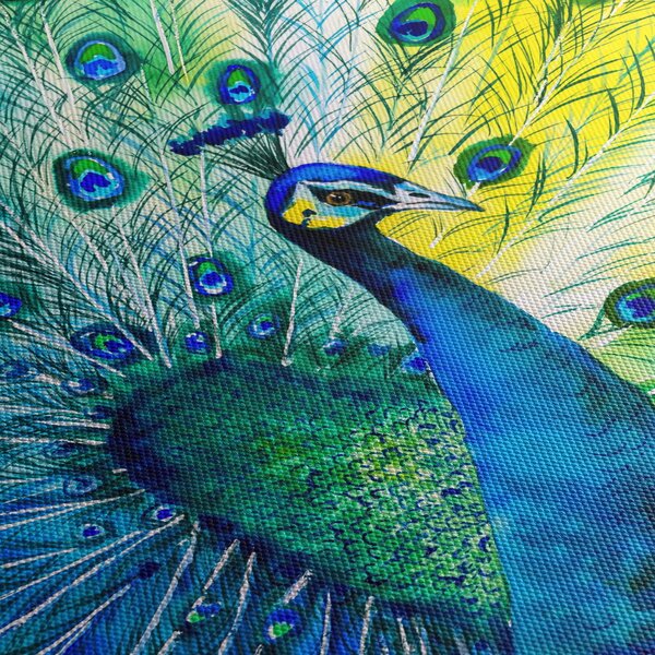 Podoba pava (150x105 cm)