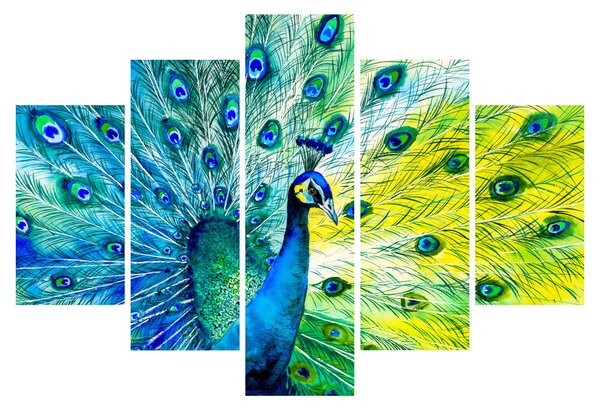 Podoba pava (150x105 cm)