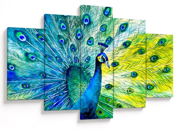 Podoba pava (150x105 cm)