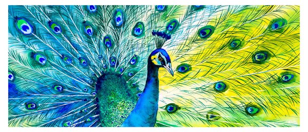 Podoba pava (120x50 cm)