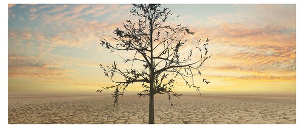 Slika - Drevo v puščavi (120x50 cm)