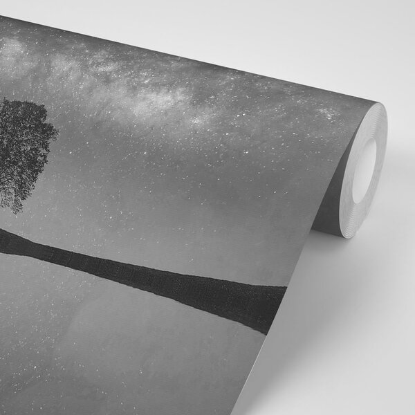 Fototapeta crno-bijelo zvjezdano nebo iznad usamljenog stabla