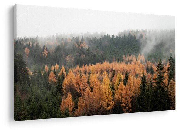 Slika - Jesenski gozd (90x60 cm)