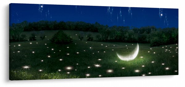 Slika - Padajoče nebo (120x50 cm)
