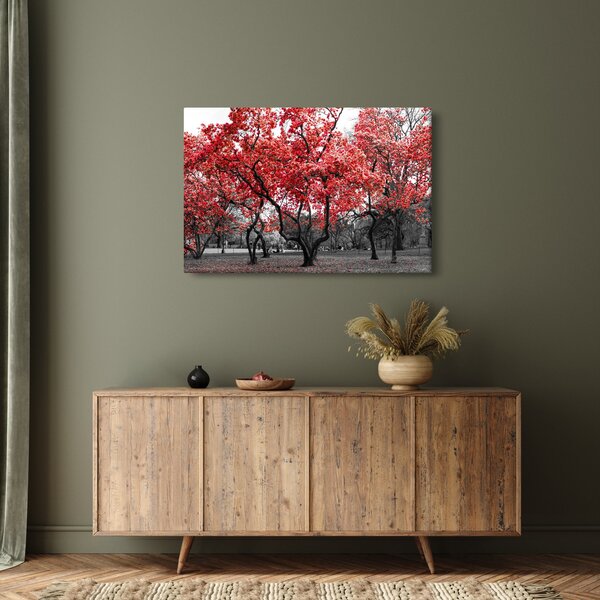 Slika - Rdeča drevesa, Central Park, New York (90x60 cm)