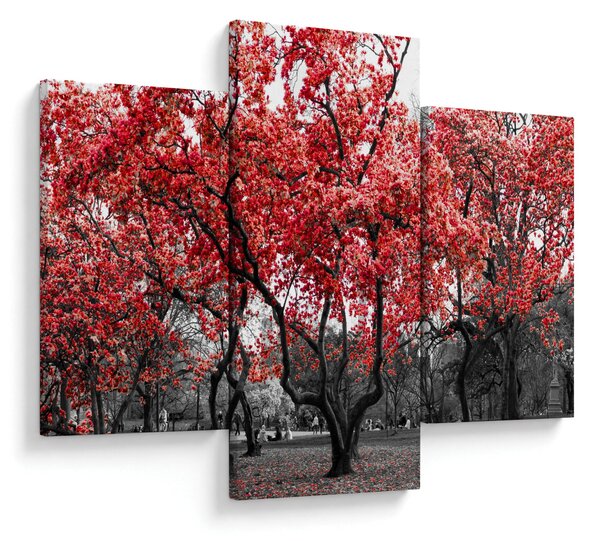 Slika - Rdeča drevesa, Central Park, New York (90x60 cm)