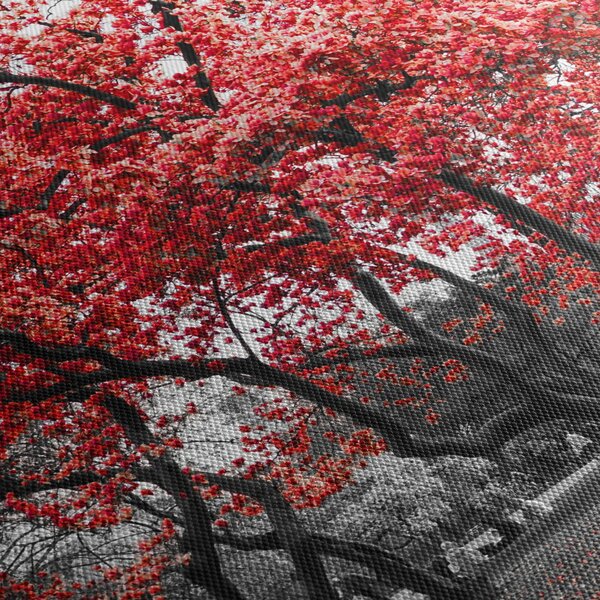 Slika - Rdeča drevesa, Central Park, New York (150x105 cm)