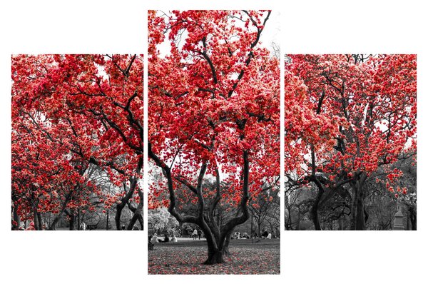 Slika - Rdeča drevesa, Central Park, New York (90x60 cm)