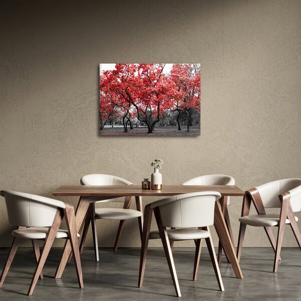 Slika - Rdeča drevesa, Central Park, New York (70x50 cm)