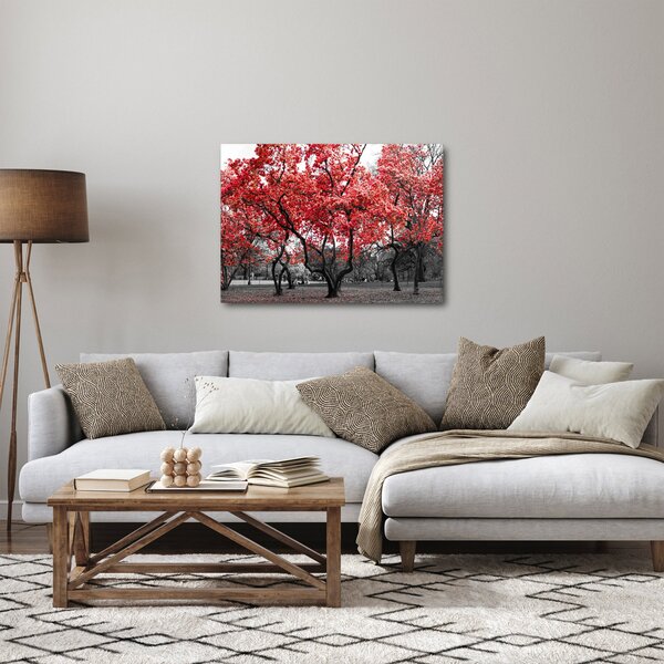 Slika - Rdeča drevesa, Central Park, New York (70x50 cm)