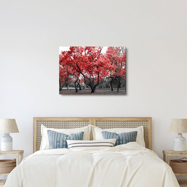 Slika - Rdeča drevesa, Central Park, New York (70x50 cm)