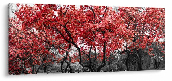 Slika - Rdeča drevesa, Central Park, New York (120x50 cm)