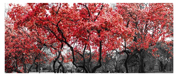 Slika - Rdeča drevesa, Central Park, New York (120x50 cm)