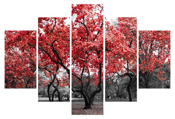 Slika - Rdeča drevesa, Central Park, New York (150x105 cm)