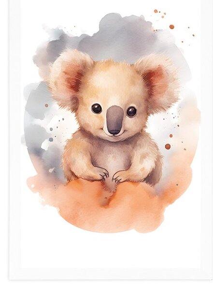 Plakat koala sanjarka