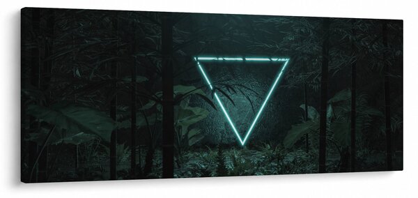 Slika - Neonski trikotnik v džungli (120x50 cm)