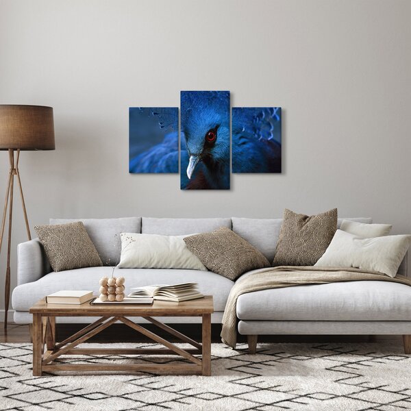 Slika - Kronasti golob (90x60 cm)