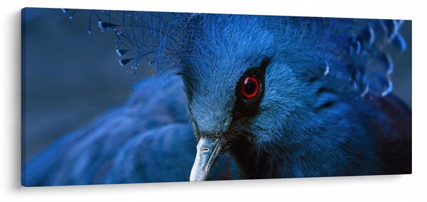 Slika - Kronasti golob (120x50 cm)