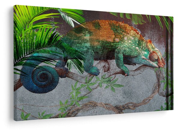 Slika - Kameleon (90x60 cm)