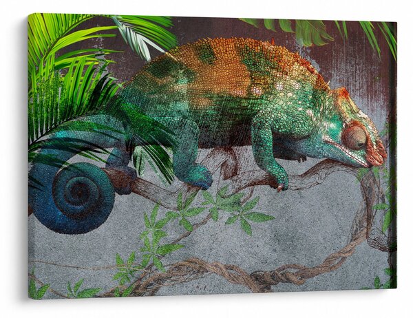 Slika - Kameleon (70x50 cm)