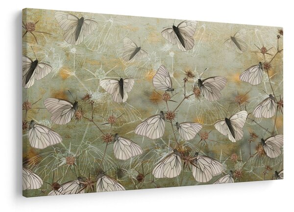 Slika - Vintage metulji (90x60 cm)