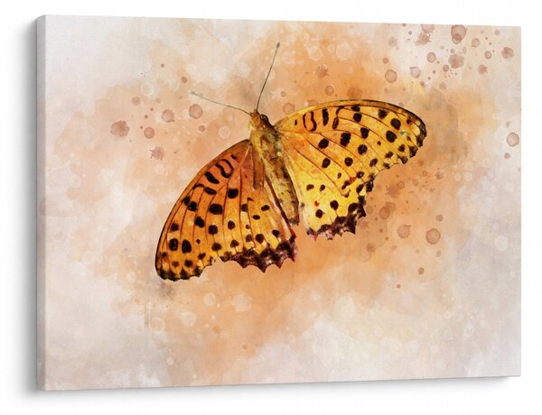 Slika - Oranžni metulj, akvarel (70x50 cm)