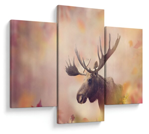 Slika - Gozd v jesenskem listju (90x60 cm)