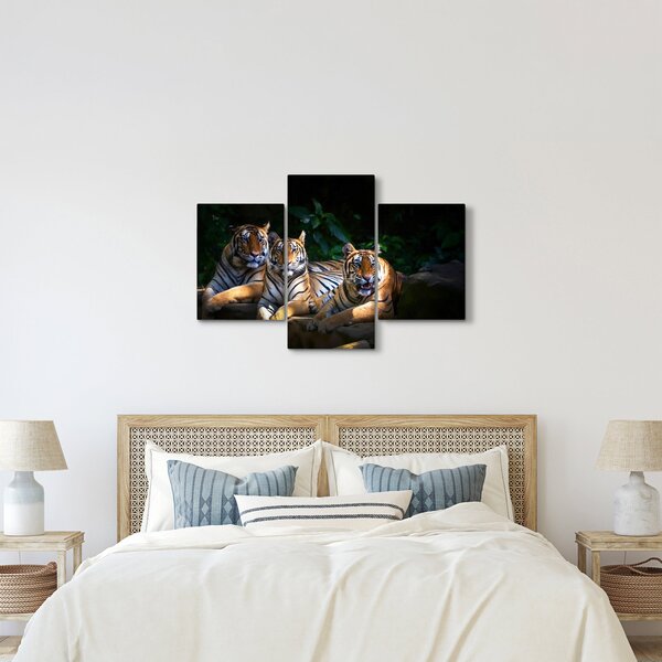 Slika - Tiger bratje (90x60 cm)
