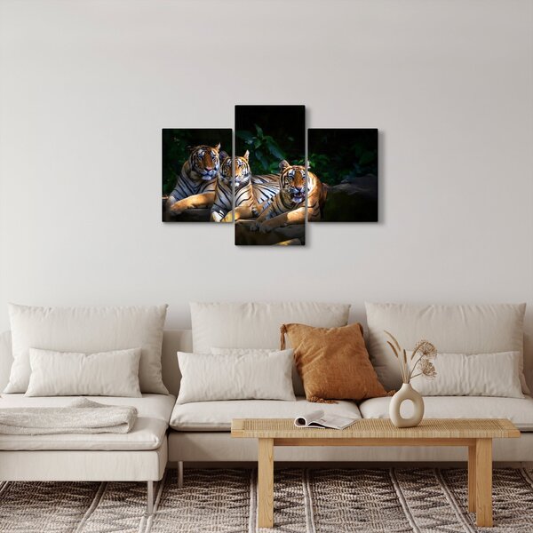 Slika - Tiger bratje (90x60 cm)