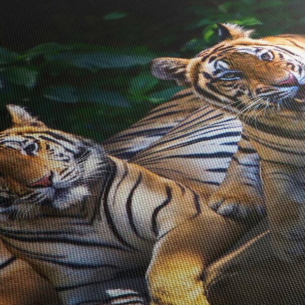 Slika - Tiger bratje (90x60 cm)