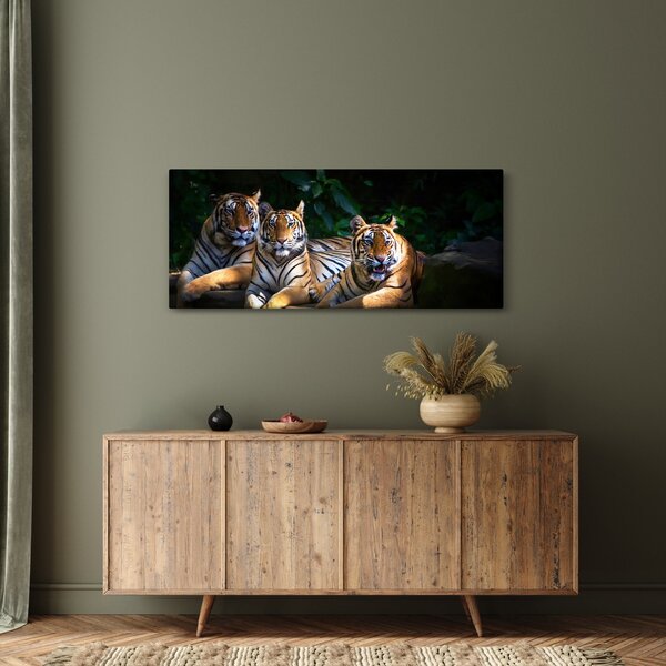 Slika - Tiger bratje (120x50 cm)