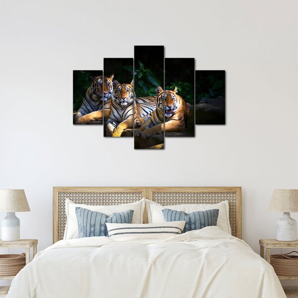 Slika - Tiger bratje (150x105 cm)
