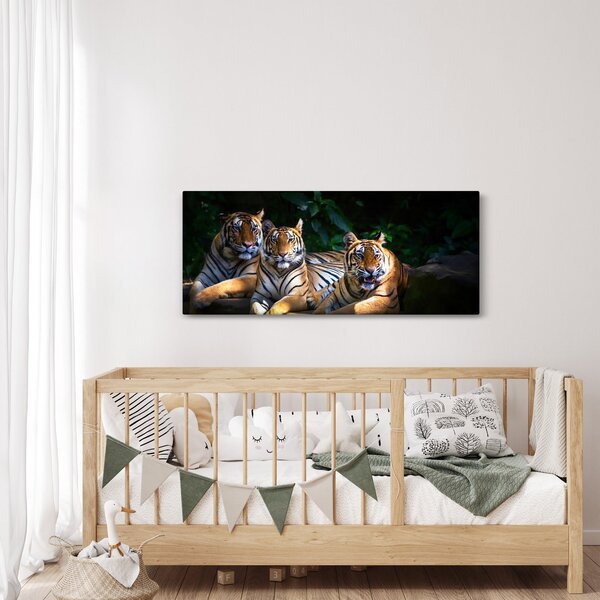 Slika - Tiger bratje (120x50 cm)
