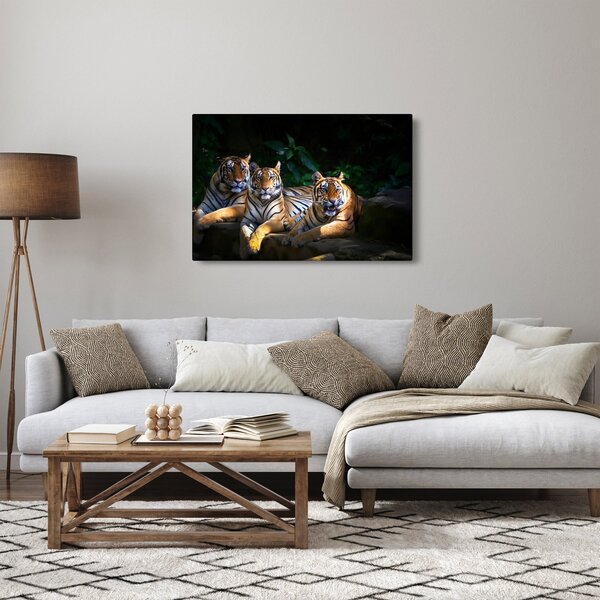 Slika - Tiger bratje (90x60 cm)