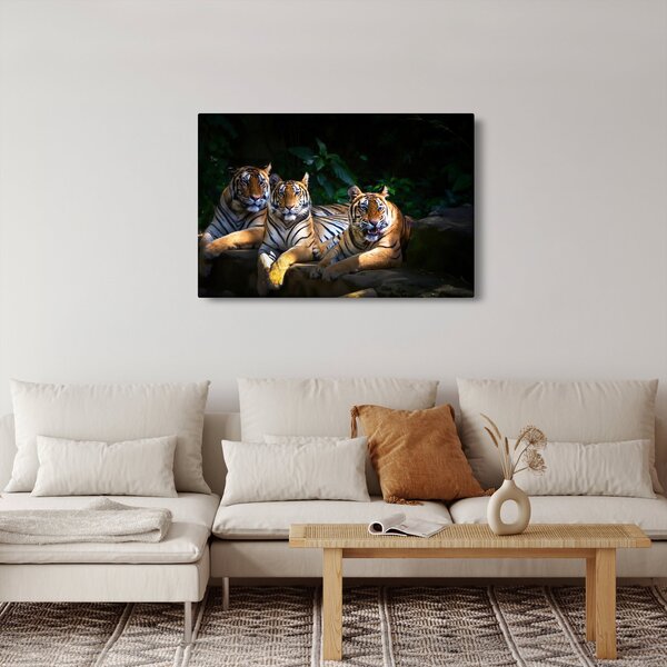 Slika - Tiger bratje (90x60 cm)