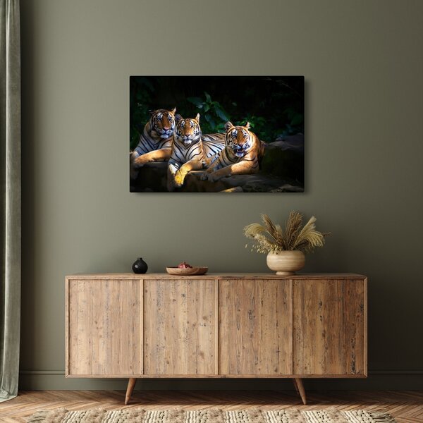 Slika - Tiger bratje (90x60 cm)