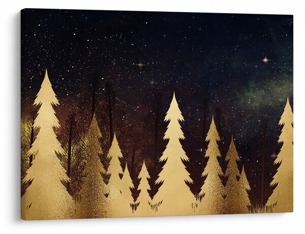 Slika - Zlata noč (70x50 cm)