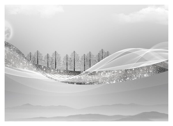 Slika - Srebrna pokrajina (70x50 cm)