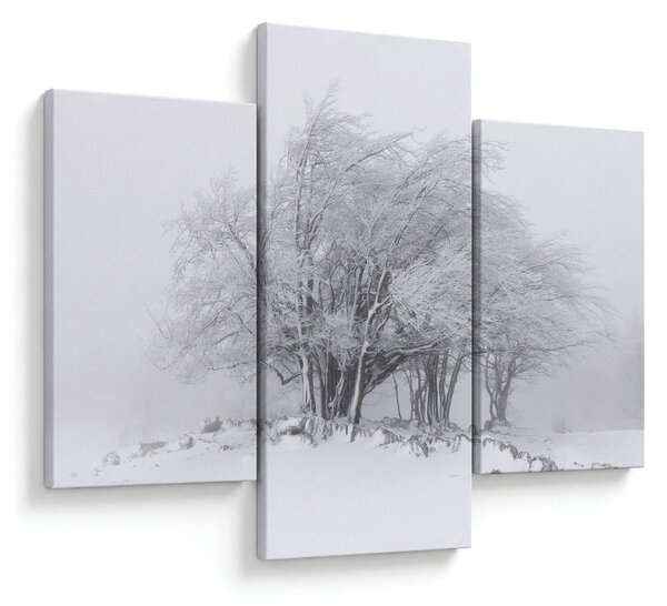 Slika - Bela zima (90x60 cm)